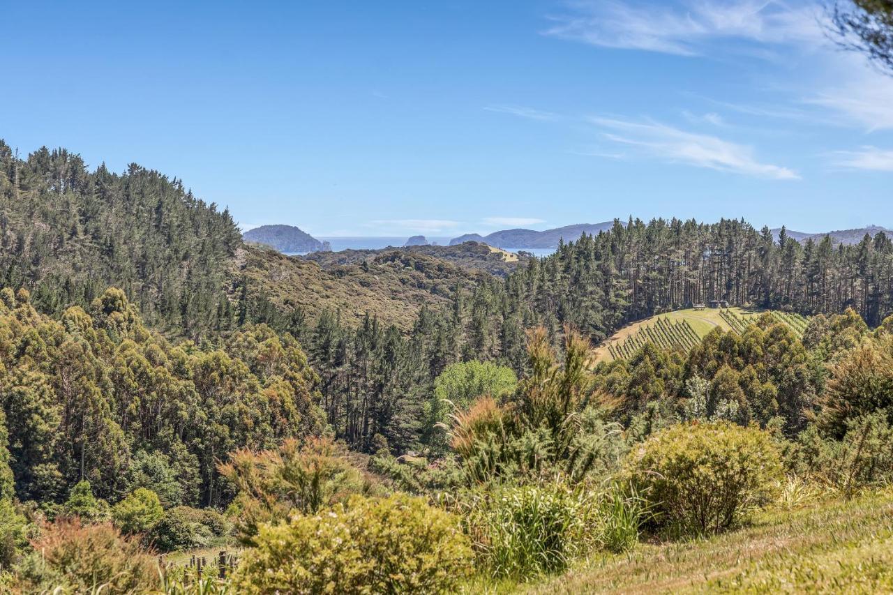 Paroa Bay Chalets - Te Whare Kereru Ръсел Екстериор снимка